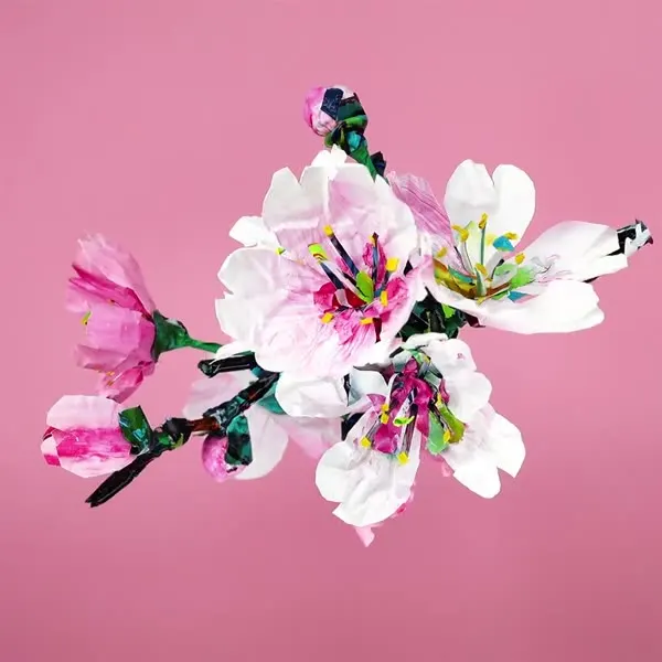 강민석 Minseok Kang, Cherry Blossom (2023) — 섬세하게 움직이는 한국 꽃들의 단채널 영상, Single-channel video