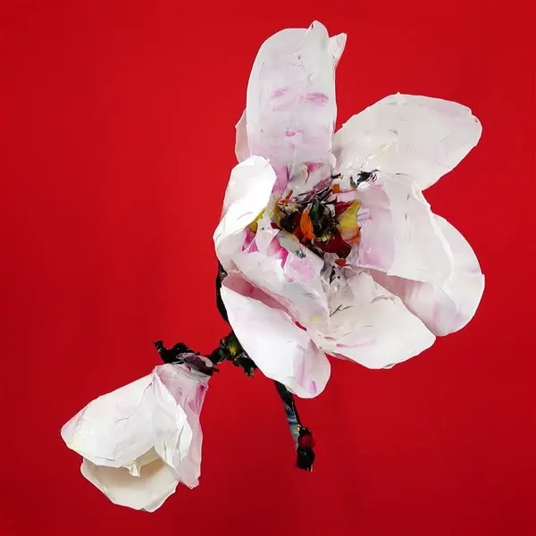 강민석 Minseok Kang, Magnolia (2023) — 섬세하게 움직이는 한국 꽃들의 단채널 영상, Single-channel video